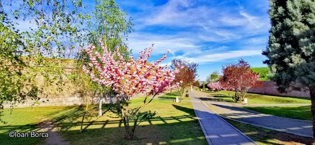 Boulevard Flat Alba Iulia Dış mekan fotoğraf